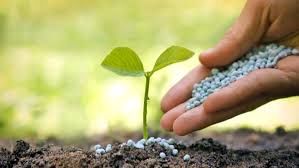 جذب بی سابقه کودهای پایه در خوزستان