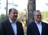 میان‌جنگل فسا؛ از حفاظت ذخایر ژنتیکی تا باغ ملی و قطب تولید نهال