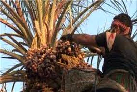 آموزش ۵۶۰ نفر روز در دوره‌های مهارتی ترویجی آبادان 