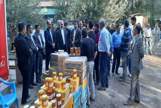 برگزاری موفقیت آمیز نمایشگاه استانی عسل 