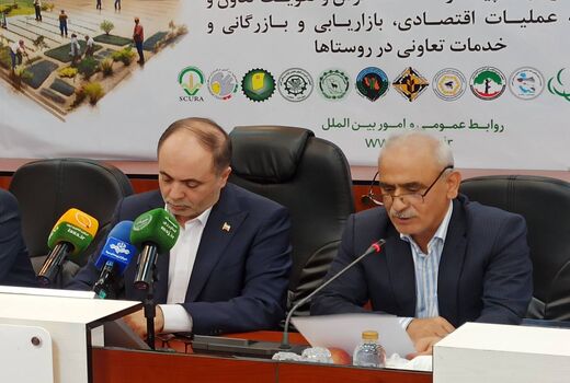 تأکید بر نقش تشکل‌ها در کاهش شکاف قیمتی و مدیریت بازار کشاورزی