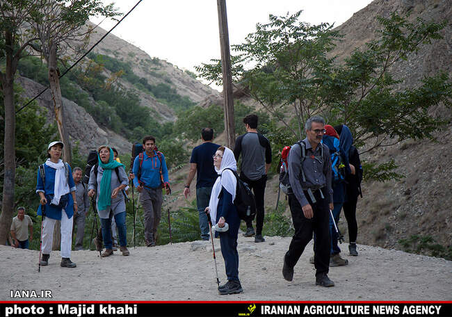 کوه پیمایی