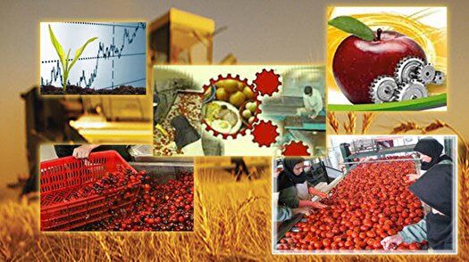 الزامات اجرای آمایش سرزمین صنایع تبدیلی کشاورزی در استان ها 