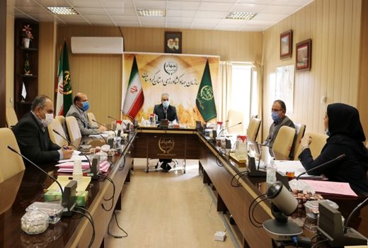 8فقره پرونده مربوط به اصلاحات ارضی، بررسی و تعیین تکلیف شد