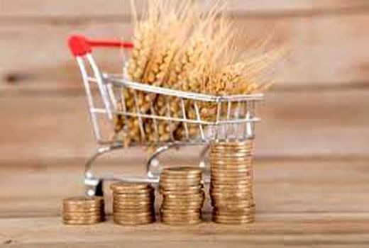 واریز بیش از 117 هزار میلیارد ریال وجوه خرید تضمینی گندم توسط بانک کشاورزی