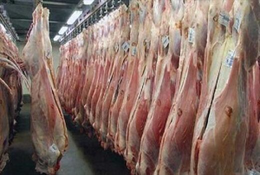 محموله گوشت منجمد برزیلی در بندرعباس تخلیه شد