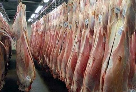 محموله گوشت منجمد برزیلی در بندرعباس تخلیه شد