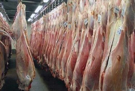 محموله گوشت منجمد برزیلی در بندرعباس تخلیه شد