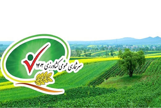 رشد ۶ درصدی بهره‌برداران و جهش ۱۶۰ درصدی گلخانه‌ها/نتیجه  سرشماری کشاورزی ۱۴۰۳ منتشر شد
