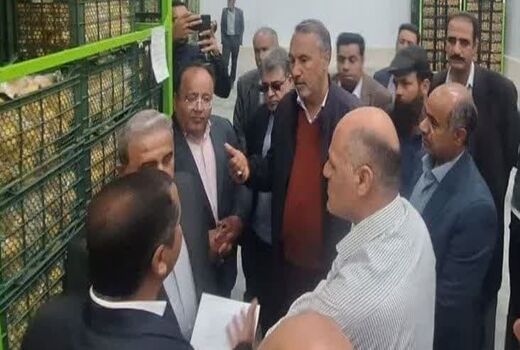 استان فارس رتبه دوم جذب مواد خام محصولات کشاورزی در کشور 