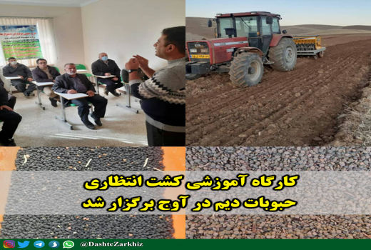 کارگاه آموزشی کشت انتظاری حبوبات دیم در آوج برگزار شد
