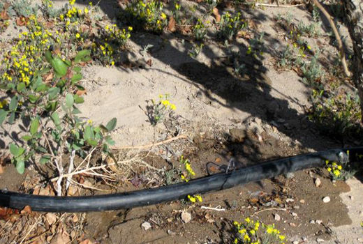 دو طرح آب و خاک شهرستان زرند در ایام الله دهه فجر به بهره برداری می رسد