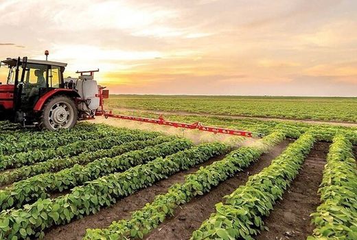 از بخشنامه تا مزرعه؛ فاصله‌ای که باید پر شود