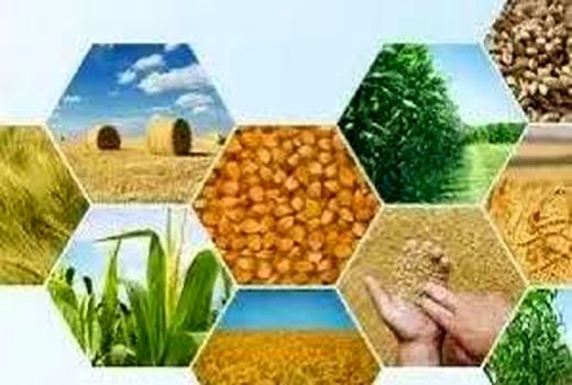 گزارش ۹ ماهه جهاد کشاورزی چرام؛ از توزیع نهاده تا نظارت بر بازار
