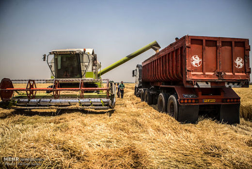 برنامه‌ریزی و ارائه تسهیلات برای توسعه فن‌آوری نوین در کشاورزی