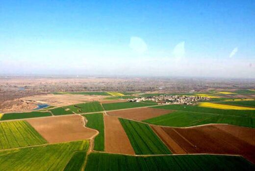 حدنگاری اراضی کشاورزی نیازمند همدلی و هم‌افزایی همه دستگاه‌های متولی است
