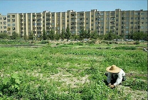 مجوز تغییر کاربری ۱۷ هکتار از اراضی کشاورزی کردستان صادر شد