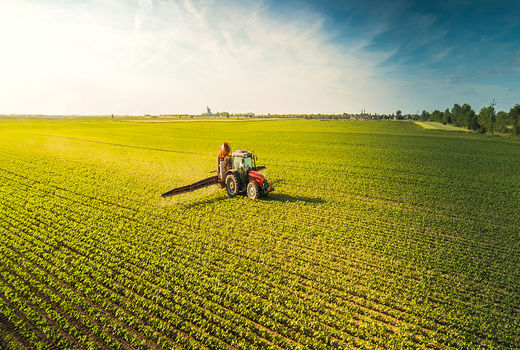 روش‌های خلاقانه برای کاهش ضرر به محیط زیست