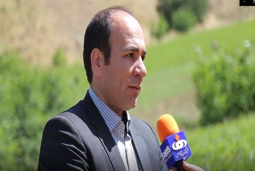 بوته‌های خیار به جای شکوفه‌های بهار؛ هیولای کرونا در شمایلی دیگر