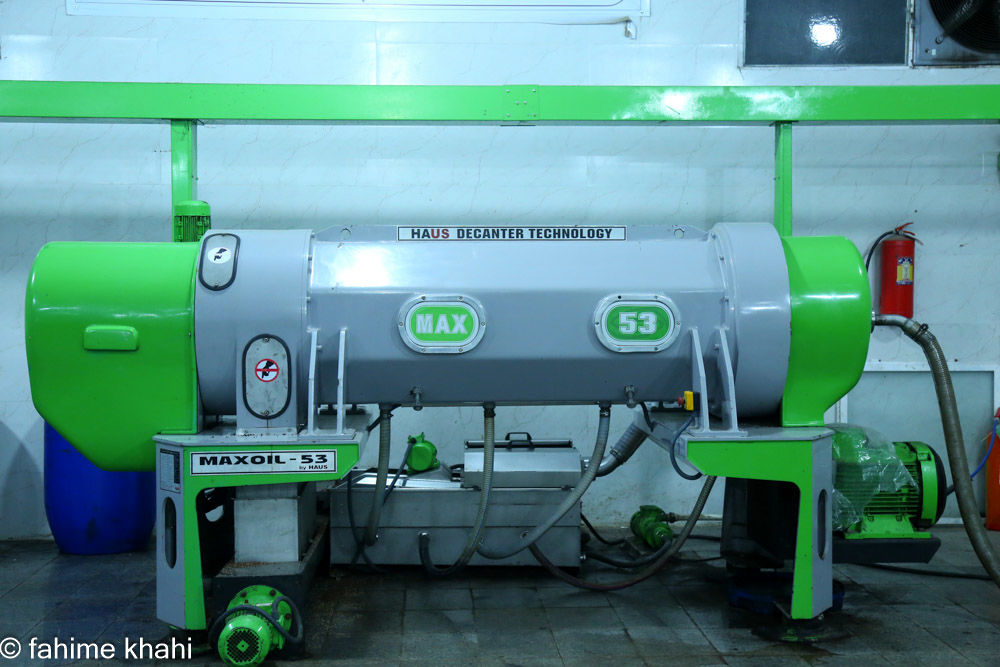 از لمس شاخه تا عصاره ی نور  