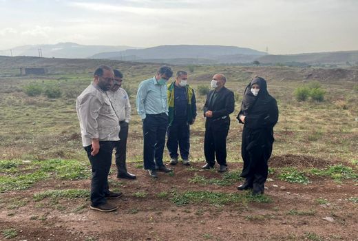 رئیس سازمان جهاد کشاورزی استان قزوین از طرح توسعه باغهای زیتون در اراضی شیبدار طارم سفلی بازدید کرد