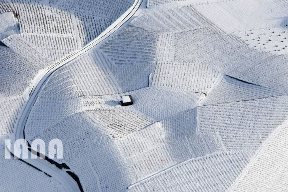 هندسه کشاورزی