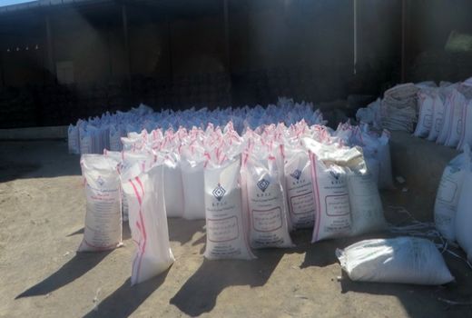 افزایش ۴۸ درصدی توزیع کود اوره در قزوین؛ جهش تأمین نهاده‌های کشاورزی