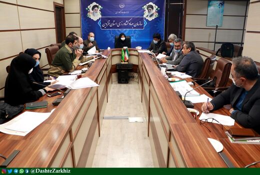 ۹ پلاک از اراضی استان قزوین رفع تداخل شد