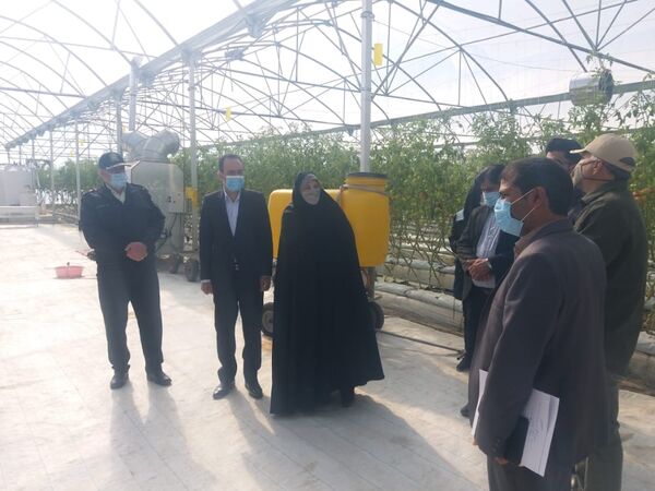 بهره برداری از گلخانه دو هکتاری هیدروپونیک در شهرستان ارزوئیه