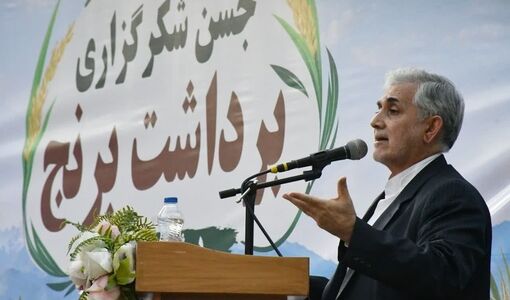 5 همت گردش مالی برنج کاران در شهرستان میانه