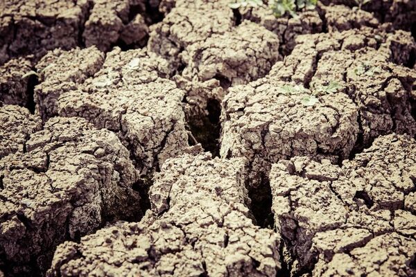 خاک چین تا سال 2030، اصلاح می‌شود؟