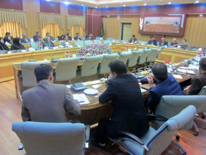 آغاز مبارزه با آفت سن گندم و جو در مزارع استان مرکزی