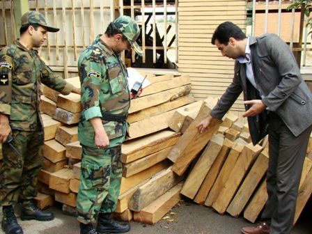 قاچاقچیان چوب زیر ذره بین پلیس و ماموران منابع طبیعی