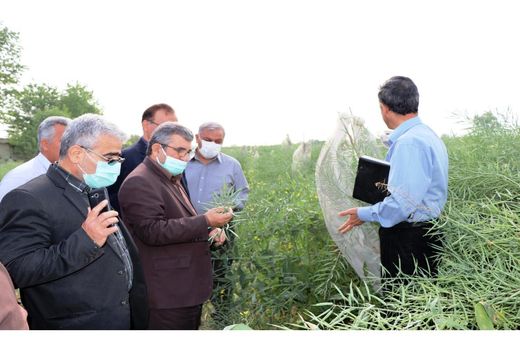 رویکرد اقدامات جهاد کشاورزی مبتنی بر علم و دانش باشد