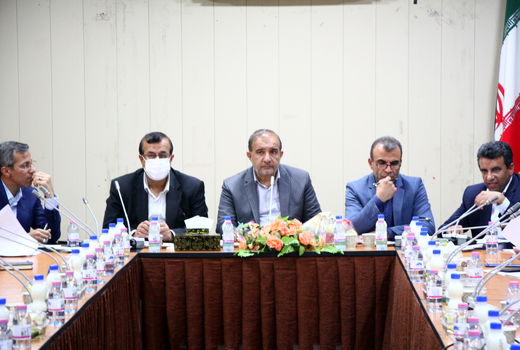 اختصاص یارانه برای نهاده‌های دامی