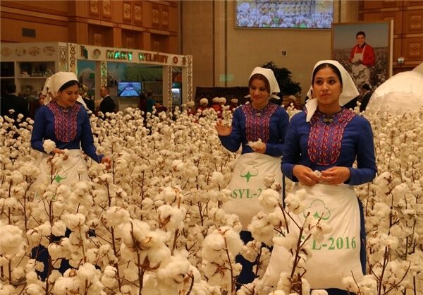 ششمین نمایشگاه بین‌المللی پنبه ترکمنستان آغاز به کار کرد