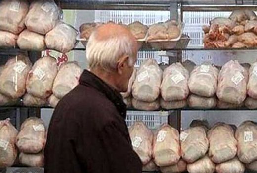 کاهش قیمت مرغ، با توزیع مرغ منجمد