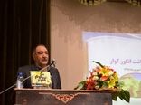 ایران، نمایشگاهی از پایه ها و ارقام انگور 