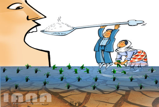 واردات برنج -کارتون فیروزه مظفری