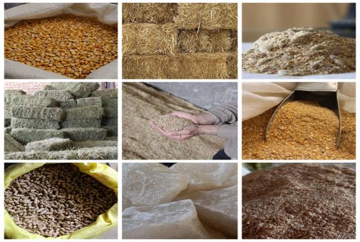 قیمت‌های جدید خوراک دام و طیور در سامانه بازارگاه اعلام شد