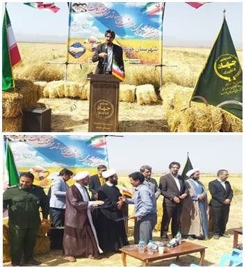 جشن شکرگزاری برداشت گندم