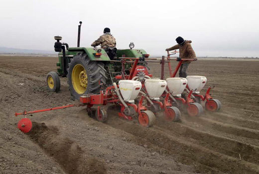  کشت مکانیزه پائیزه و انتظاری حبوبات در 7000 هکتار از اراضی استان آذربایجان شرقی