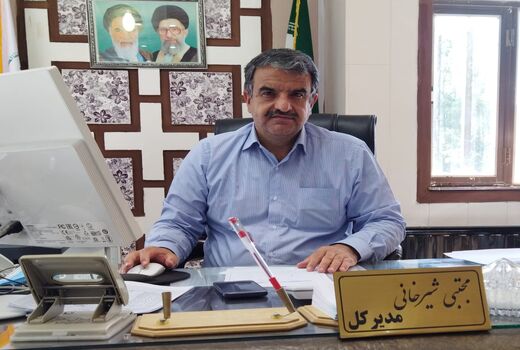حدود هشت هزار رأس دام مازاد عشایر خریداری و کشتار شد