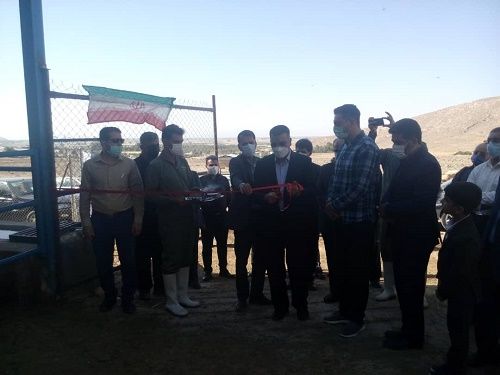 یک واحد گاوداری شیری در مرودشت به بهره برداری رسید