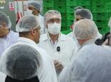 مسئولان دامپزشکی و خبرنگاران از روند تولید و بسته‌بندی گوشت بازدید کردند