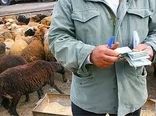 باز شدن پای دلال ها برای خرید دام با قیمت ارزان