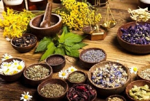 شناسایی دو هزار و ۵۰۰ گونه گیاه دارویی در کشور