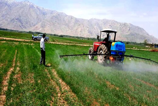 مبارزه با علف‌های هرز در یک هزار هکتار از مزارع غلات شهرستان فارسان