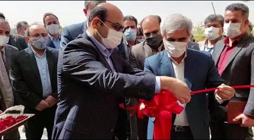 دامپزشکان در تامین سلامت غذایی نقش اساسی دارند