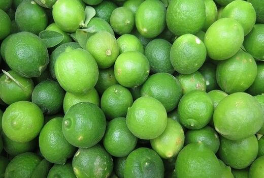 برآورد تولید 15 هزار تن لیموترش در کازرون